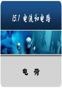 两种电荷电荷【2013年最新人教版义务教育教科书九年级物理】