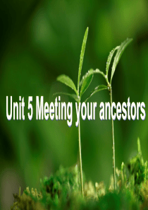 人教新课标 高二 选修8 Unit 5 Meeting your ancestors Grammar