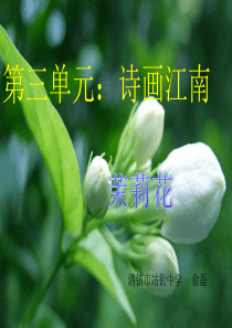 初中音乐课件：茉莉花