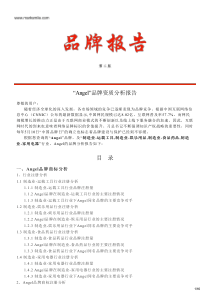 Angel的品牌资质分析报告