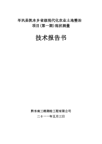 土地整理项目测量技术报告