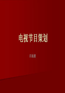 电视节目策划(PPT)