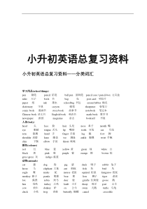 小升初英语总复习