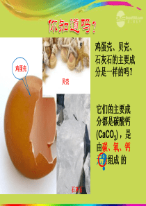 2012年秋九年级化学上册 第三单元 物质构成的奥秘 课题3元素课件 新人教版