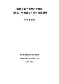 国家光电子信息产业基地总体发展规划报告