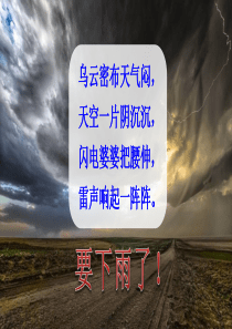 部编版二年级下册16雷雨(上课用)