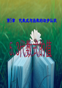 七年级数学上册《5.3 代数式的值》课件1 青岛版