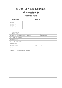 科技型中小企业技术创新基金项目综合评价表