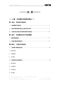 石家庄金世界前期发展策划报告-95页