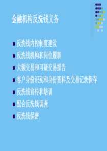 反洗钱培训课件