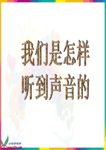 教科版科学四年级上册我们是怎样听到声音的