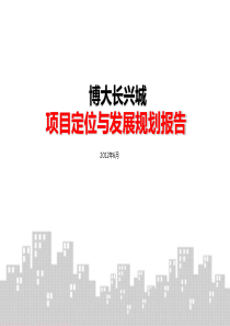 社区项目定位与发展规划报告_79p_前期策划