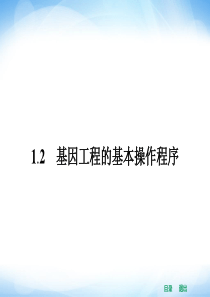 2014年高二生物人教版选修三同步课件 1.2 基因工程的基本操作程序