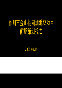 福州市金山橘园洲地块项目前期策划报