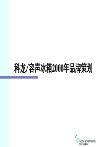 科龙容声冰箱XXXX年品牌策划实用