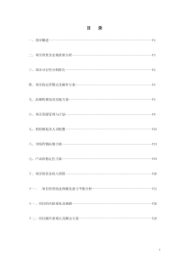 秦驰加盟连锁店项目商务策划书提纲