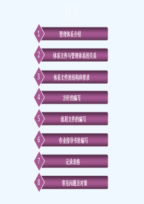 IT管理体系文件编写培训