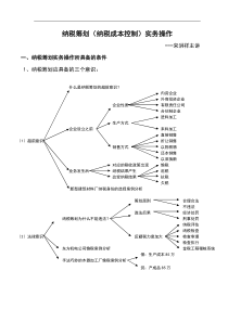 税务策划