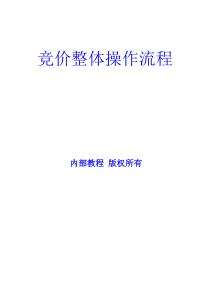 竞价整体操作流程《个人运营竞价策划方案》