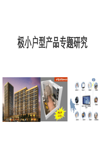 极小户型产品专题研究报告