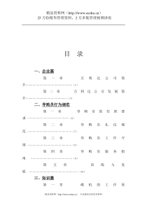 某DVD产品促销员手册