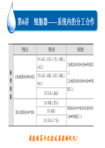 细胞器及生物膜系统一轮复习