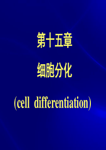 09第十五章-细胞分化