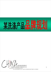 某洗涤产品品牌规划（重磅）