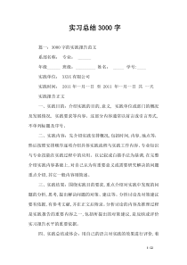 实习总结3000字