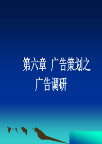 第六章广告策划之广告调研