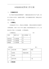 加油站试营业工作方案