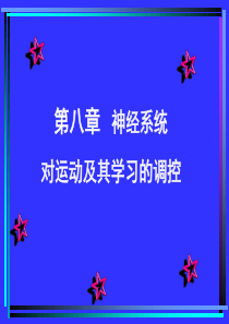 王步标运动生理学-第八章-神经系统