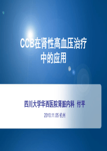 (重点)CCB在肾性高血压治疗