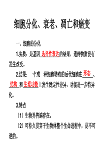 高三生物复习：细胞分化、衰老、凋亡和癌变