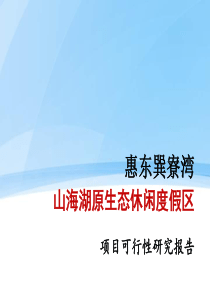 策划案例_惠州山海湖原生态休闲度假区项目可行性研究