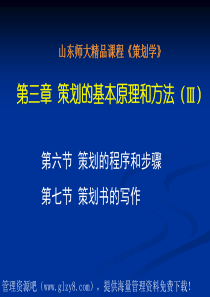 策划的基本原理和方法-策划的程序和步骤