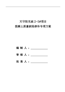 2―5# 砼质量缺陷修补专项施工方案