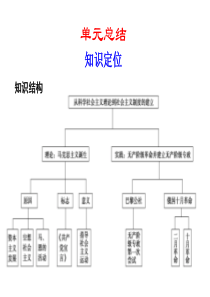 2011届高考历史一轮复习课件：第5单元 从科学社会主义理论到社会主义制度的建立