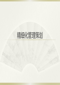 精细化施工管理策划-修改