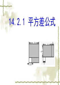 2014年秋人教版八年级数学上册：14.2.1《平方差公式》ppt课件