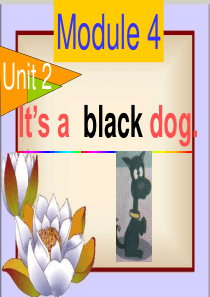 its_a_black_dog三上