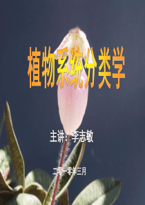 植物学分类系统