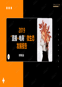 2019“直播+电商”微生态报告