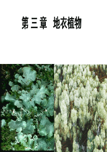 植物分类学—地衣植物(上课版)