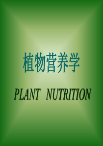 植物营养学302512413