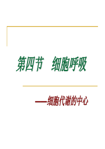 高中生物必修1呼吸作用一中课件(PPT)