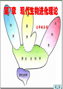 高中生物必修2《遗传与进化》(新人教版)现代生物进化理论的由来