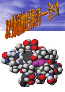 【人教版高一生物必修1】2.2 生命活动的主要承担者――蛋白质(1)