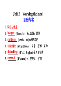 【人教课标版】2012(步步高)高考英语一轮复习 必修4课件 Unit 2 Working the 