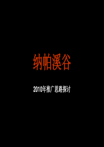 纳帕溪谷XXXX年推广思路